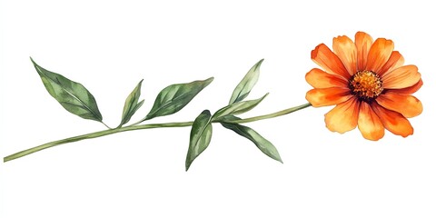 Watercolor illustration of a single orange flower with green leaves on a white background.