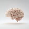 © Edifi 4 - Floating brain on white background