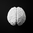 © Edifi 4 - White brain model on black background