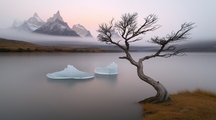 Tree is standing in front of a body of water with ice floating on it. The scene is serene and peaceful, with the tree and ice creating a sense of calmness and tranquility