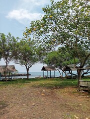 Green trees and small huts on the beach