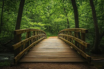 Wooden bridge over a stream in a lush green forest.