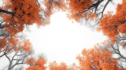 Poster - Group Of Gray Trees Surrounding A White Empty Space In The Center White Background With Text Area Trees With Vibrant Orange Leaves Ai Generated Image