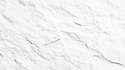 Poster - White Textured Background with Natural Patterns