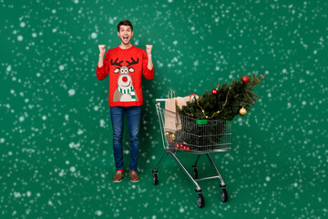 Poster - Full length body size view of attractive cheery guy buying fir tree shopping winter eve having fun isolated over green color background
