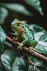 Wall Mural - A Green Lizard Perched on a Branch in Lush Foliage