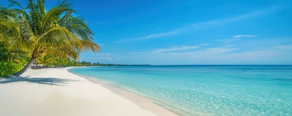 Tropical beach with white sand, clear blue water, and lush palm trees under a sunny sky.