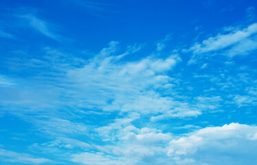 Wall Mural - white cloud in the blue sky