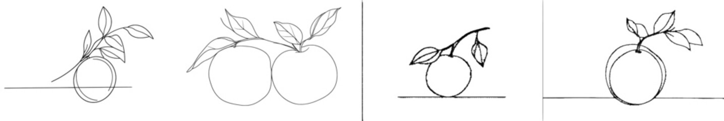 Leinwandbilder - The orange fruit is shown whole and sliced. Black lines on a white background. Modern illustration.