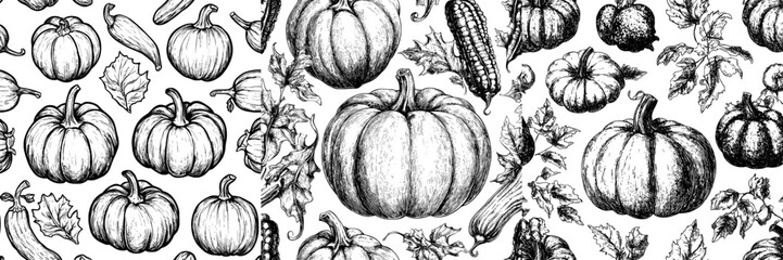Poster - The pattern features outlined pumpkins and squash on white background. Contoured vintage botanical drawing depicts fall vegetables. Hand-drawn modern illustration for printing.