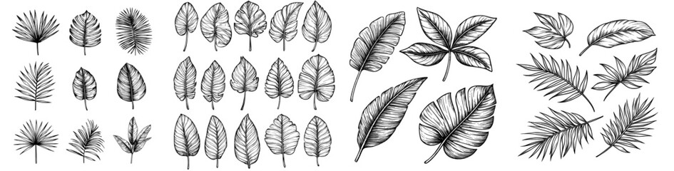 Aufkleber - Illustration of tropical leaves for poster, emblem, banner, sign, t-shirt.
