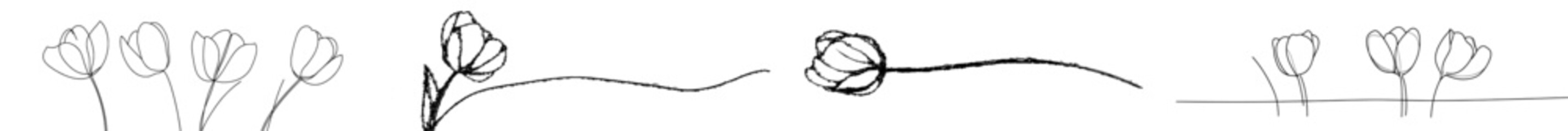 Poster - Abstract tulip one line drawing. Continuous line drawing of flower tulip. Hand drawn sketch of flower with leaves.