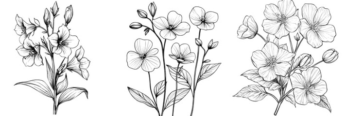 Poster - Drawing of bluebell flower. Bluebell flower outline sketch on a monochrome background. Invitation engraving.