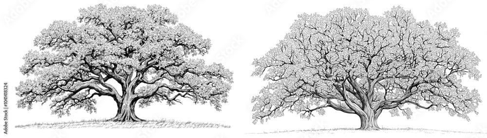 Large detailed hand drawn modern illustration of a decorative family ...