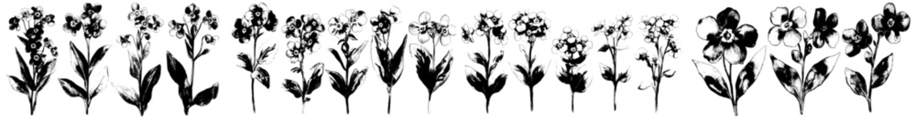 Aufkleber - Isolated modern illustration of forget me not flower clipart.