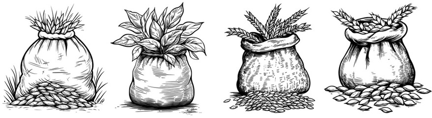 Poster - Hand drawn traditional food in monochrome sketch style. Illustration of a modern dumpling.