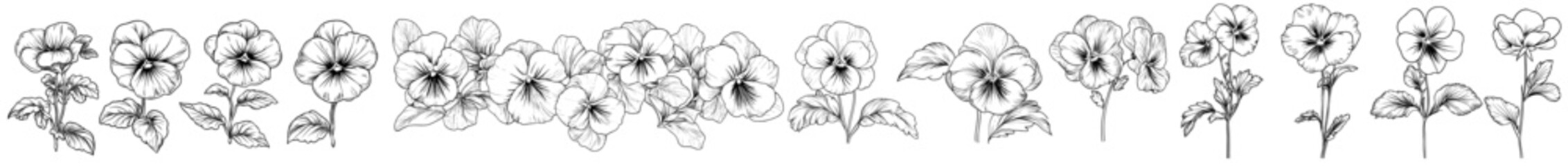 Poster - In this painting, we have drawn violas and pansies in outline black ink. Set of scribble flowers. Bold artistic monochrome design.