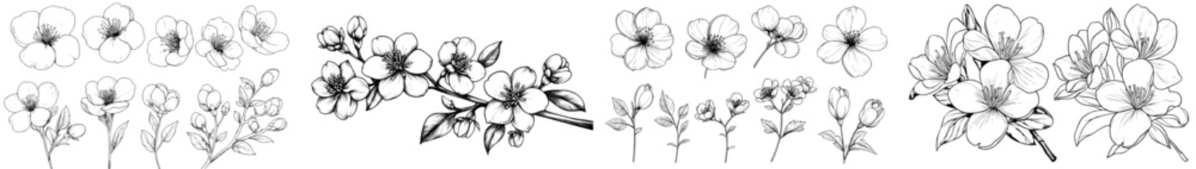 Poster - Stunning Japanese wildflower isolated in modern style. This flower can be used as a background, texture, wrapper pattern, frame or border.