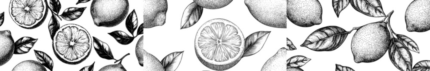 Poster - The pattern is hand drawn with etching lemons or limes and leaves in engraved style, and it has a black and white repeat background.