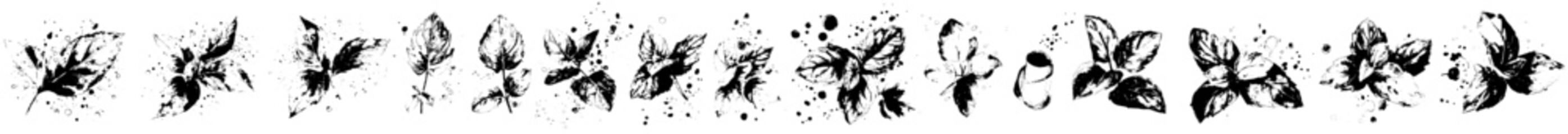 Poster - A collection of modern watercolor illustrations of mint branches and leaves with paint splashes.