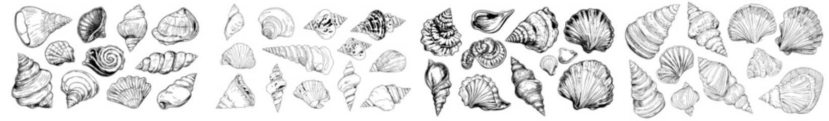 A Vintage Seashell Engraving Modern Set: Retro Halftone Sketches for Posters, Banners & Cards - Classic Marine Art with Dotted Ink Illustrations