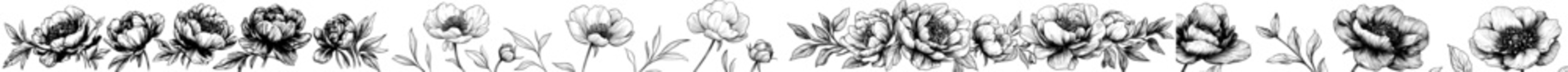 Poster - A set of hand-drawn outlined drawings of peony blossoms. Beautiful botanical illustration with etched and engraved details. Abstract contoured illustration on white.