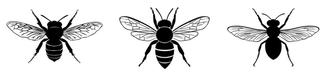 Poster - Template for laser cutting, wood carving, and paper cutting. Shapes for cutting.