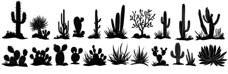 Poster - Various desert plants hand drawn in black on white background. Silhouette of a cactus.