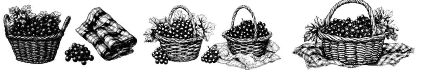 Aufkleber - Detailed hand-drawn sketches of a wicker picnic basket with grapes. Engraved illustration.