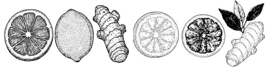 Aufkleber - Illustration of a lemon isolated on a black background with leaves, peel, and slices. Black and white illustration of a citrus fruit for design and printing.