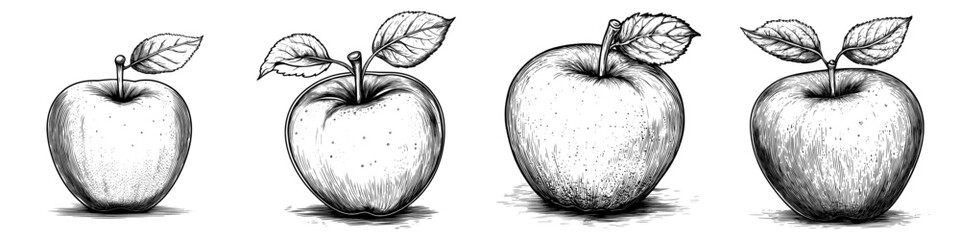 Poster - An illustration of Liberty Apple sketches drawn by hand with a transparent background