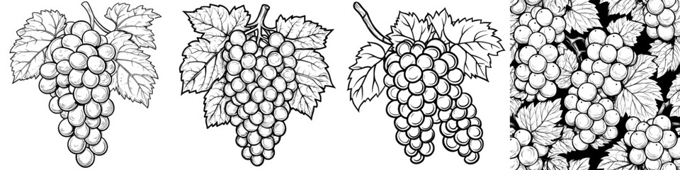 Poster - Fruit engraving drawing, Oeillade Noire