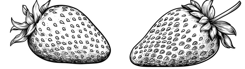 Aufkleber - Black and white strawberry sketch in a vintage style, hand-drawn