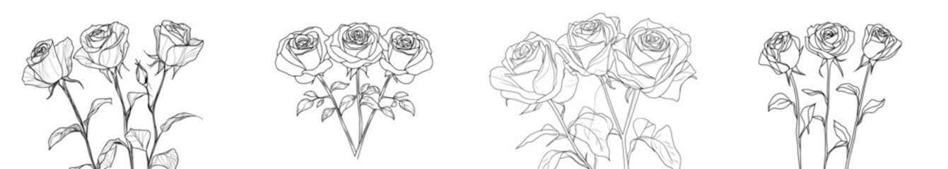 Poster - This is a modern pattern of three rose flowers on a white background with black lines. It is a trendy modern background for covers, advertising, packaging, or videos.