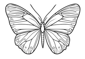 Aufkleber - The wing patterns on this butterfly illustration are intricate and detailed in black and white