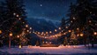 © Tuachan - Winter Concert Under Starlit Sky with Festive Lights