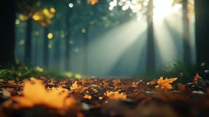 Poster - Autumn forest scene with sunlight through trees