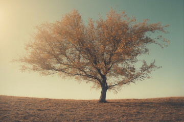 Wall Mural - A lone tree against a hazy sky