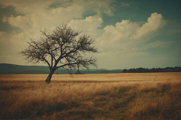 Wall Mural - tree in evening light