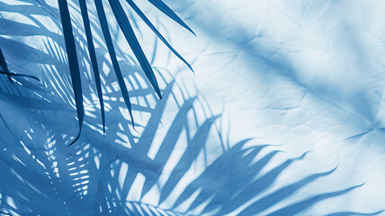 Wall Mural - light blue background palm leaves and copy space, summer backdrop