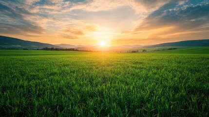 Poster - Tranquil View of Expansive Field Featuring Lush Green Grass and a Beautiful Sunset