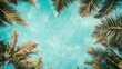 Tropical Palm Tree Canopy
