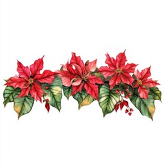 POINSETTIA FLOWERS watercolor hand drawn winter flower border