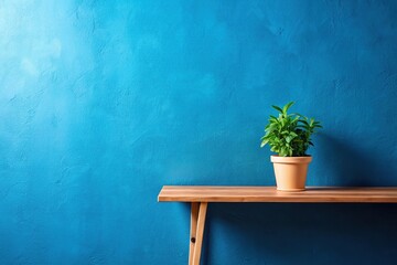 Blue wall with shelf and plant on wooden table in medium shot