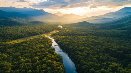 A drone-guided tour of a sprawling national park, offering breathtaking aerial views of mountains, rivers, and dense forests, all from above