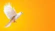 © Sagiam - A graceful white bird soaring against a vibrant yellow background, symbolizing freedom and peace.