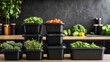 © Jakkarin - Fresh Meal Prep Containers on Well-Organized Kitchen Counter for Healthy Food Delivery Service.