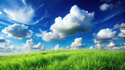 Wall Mural - dreamy landscape of white cloud and lush grass