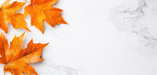 Wall Mural - Colorful autumn leaves on a white marble background, ideal for seasonal designs.
