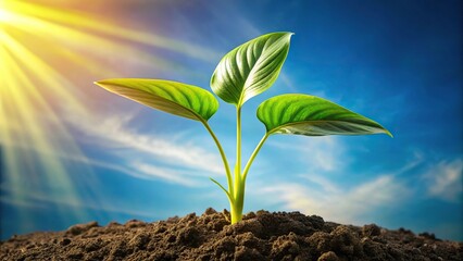 Wall Mural - Large plant with single leaf on white background, low angle view